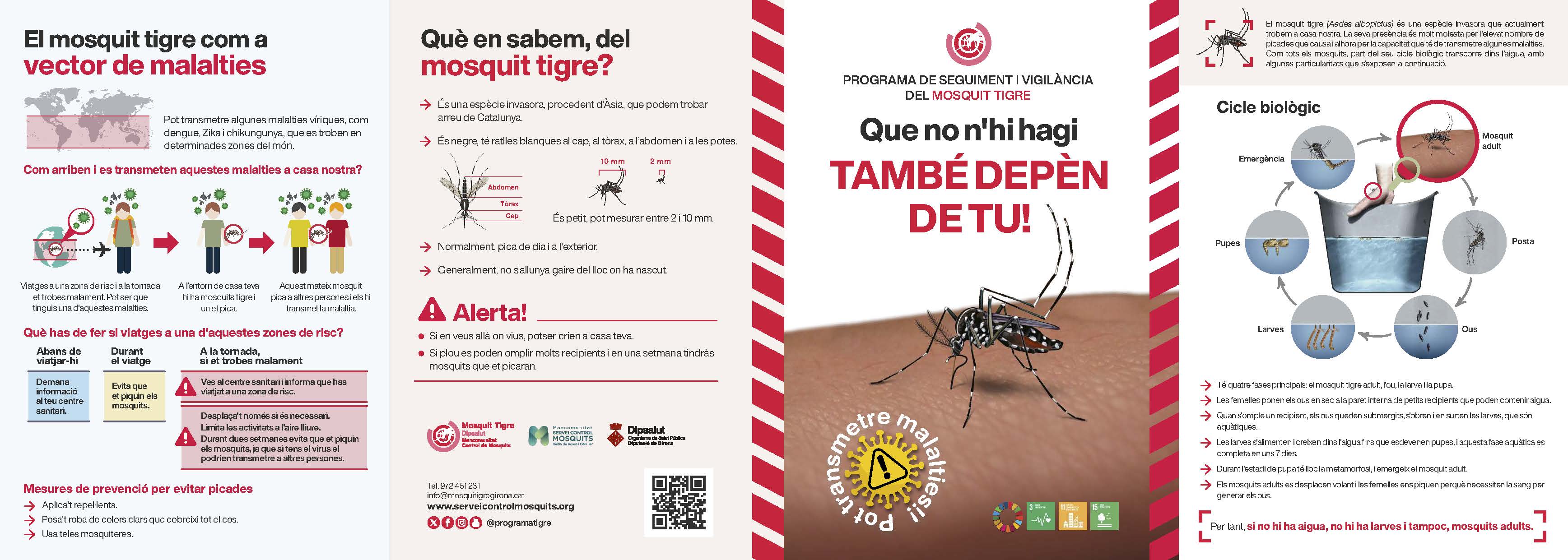 Quadríptic Mosquit Tigre 2026